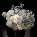 White Cloud