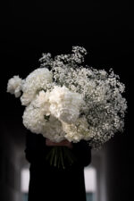 White Cloud